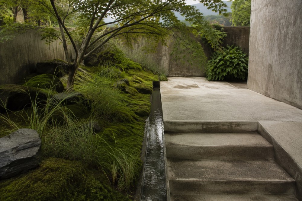 A quieter kind of garden